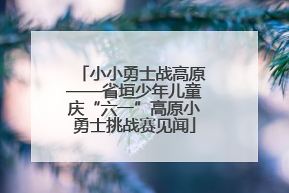 小小勇士战高原——省垣少年儿童庆“六一”高原小勇士挑战赛见闻