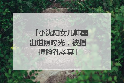 小沈阳女儿韩国出道照曝光，被指撞脸孔孝真