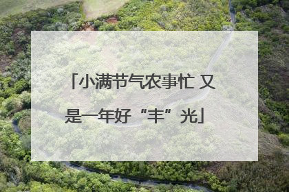 小满节气农事忙 又是一年好“丰”光