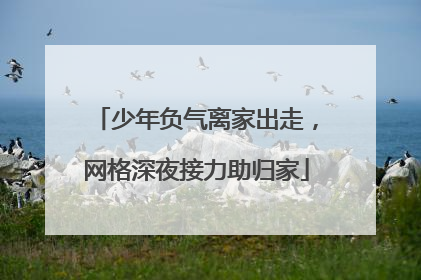 少年负气离家出走，网格深夜接力助归家