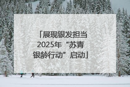 展现银发担当 2025年“苏青银龄行动”启动