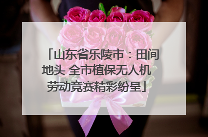 山东省乐陵市：田间地头 全市植保无人机劳动竞赛精彩纷呈