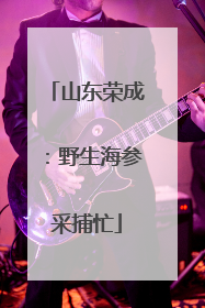 山东荣成：野生海参采捕忙