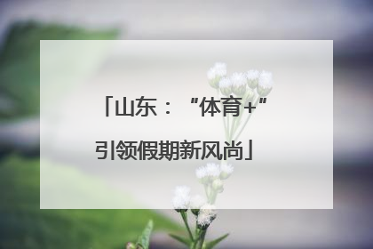 山东：“体育+”引领假期新风尚