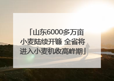 山东6000多万亩小麦陆续开镰 全省将进入小麦机收高峰期