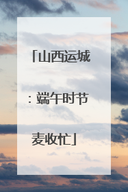 山西运城：端午时节麦收忙