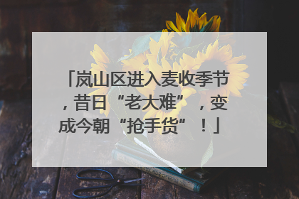 岚山区进入麦收季节，昔日“老大难”，变成今朝“抢手货”！