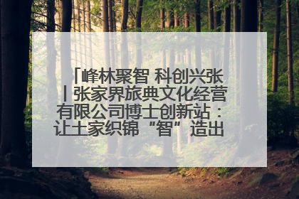 峰林聚智 科创兴张丨张家界旅典文化经营有限公司博士创新站：让土家织锦“智”造出非遗新传奇