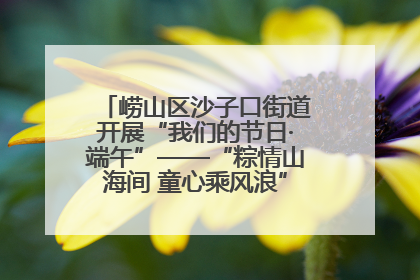 崂山区沙子口街道开展“我们的节日·端午”——“粽情山海间 童心乘风浪”文明实践活动