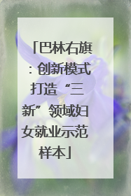 巴林右旗：创新模式 打造“三新”领域妇女就业示范样本