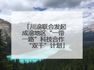 川渝联合发起成渝地区“一带一路”科技合作“双千”计划