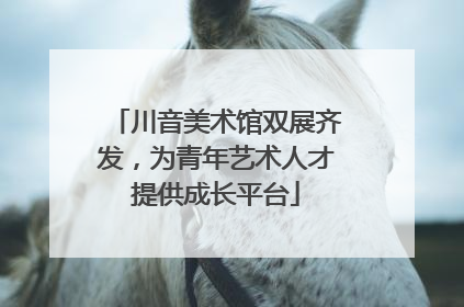 川音美术馆双展齐发，为青年艺术人才提供成长平台