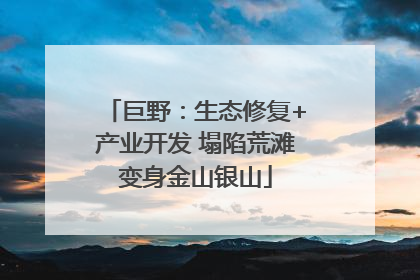 巨野：生态修复+产业开发 塌陷荒滩变身金山银山