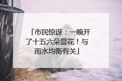 市民惊讶：一晚开了十五六朵昙花！与雨水均衡有关