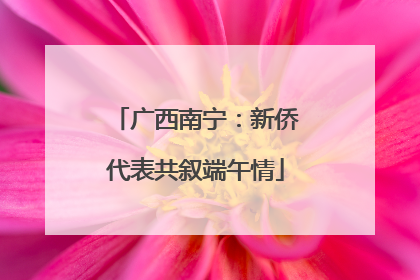广西南宁：新侨代表共叙端午情