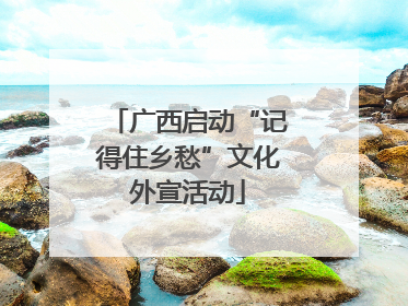 广西启动“记得住乡愁”文化外宣活动