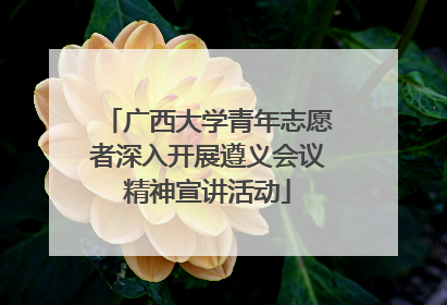 广西大学青年志愿者深入开展遵义会议精神宣讲活动