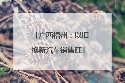 广西梧州：以旧换新汽车销售旺