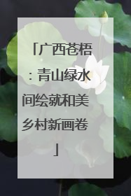 广西苍梧：青山绿水间绘就和美乡村新画卷