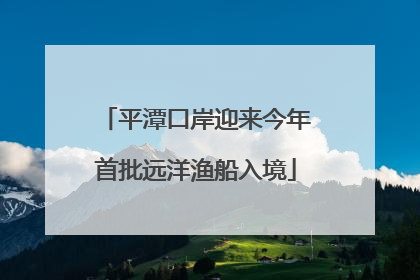 平潭口岸迎来今年首批远洋渔船入境