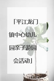 平江龙门镇中心幼儿园亲子游园会活动