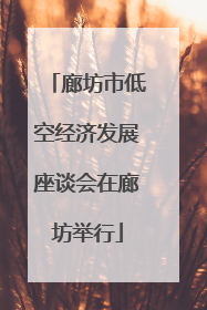 廊坊市低空经济发展座谈会在廊坊举行