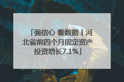 强信心 看数据丨河北省前四个月固定资产投资增长7.1%
