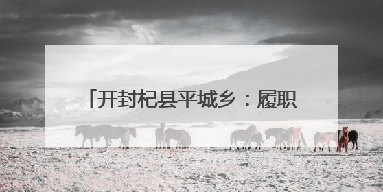 开封杞县平城乡：履职践初心 帮扶暖民心