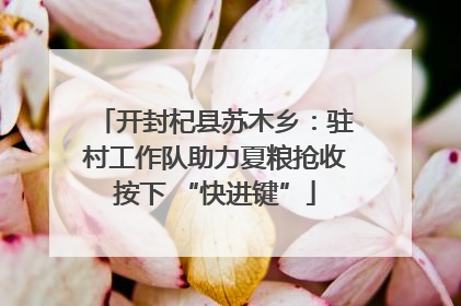 开封杞县苏木乡：驻村工作队助力夏粮抢收按下 “快进键”