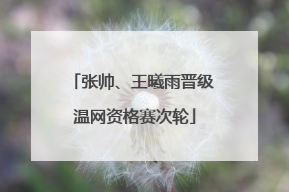 张帅、王曦雨晋级温网资格赛次轮