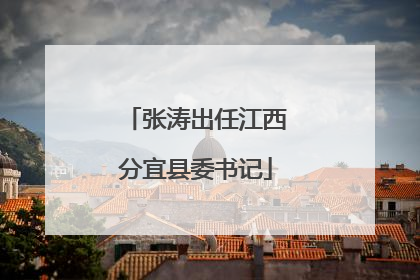 张涛出任江西分宜县委书记