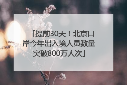提前30天！北京口岸今年出入境人员数量突破800万人次