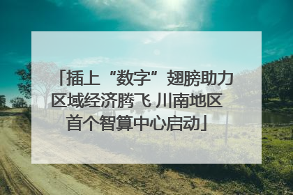 插上“数字”翅膀助力区域经济腾飞 川南地区首个智算中心启动