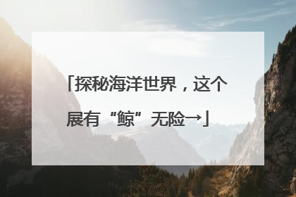 探秘海洋世界，这个展有“鲸”无险→