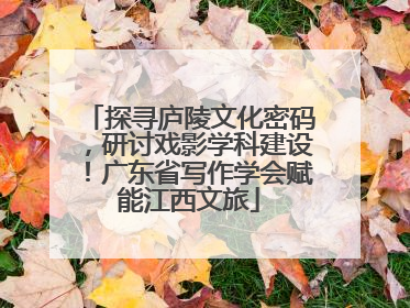 探寻庐陵文化密码，研讨戏影学科建设！广东省写作学会赋能江西文旅