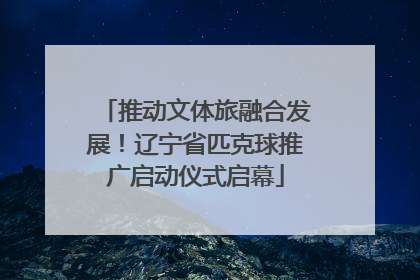 推动文体旅融合发展！辽宁省匹克球推广启动仪式启幕