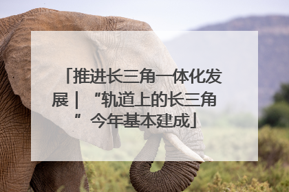 推进长三角一体化发展｜“轨道上的长三角”今年基本建成