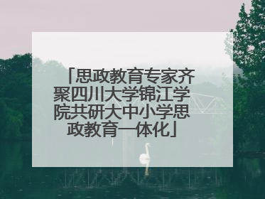 思政教育专家齐聚四川大学锦江学院共研大中小学思政教育一体化