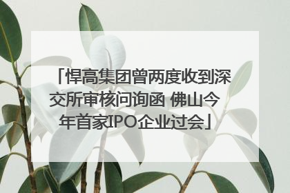 悍高集团曾两度收到深交所审核问询函 佛山今年首家IPO企业过会