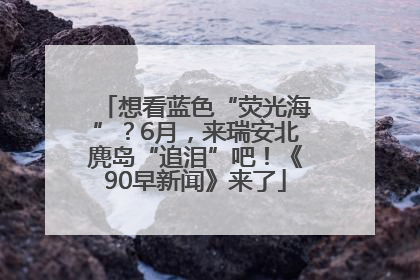 想看蓝色“荧光海”？6月，来瑞安北麂岛“追泪”吧！《90早新闻》来了