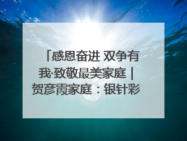 感恩奋进 双争有我·致敬最美家庭｜贺彦霞家庭：银针彩线绣出好日子