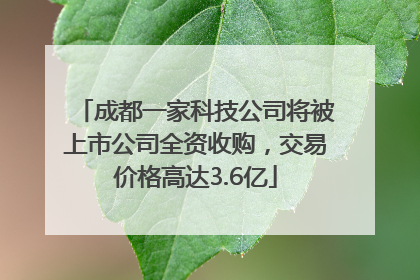 成都一家科技公司将被上市公司全资收购，交易价格高达3.6亿