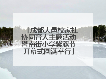 成都大邑校家社协同育人主题活动暨南街小学紫藤节开幕式圆满举行