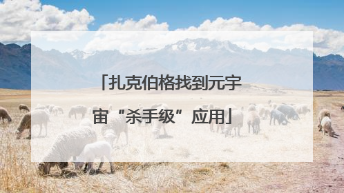 扎克伯格找到元宇宙“杀手级”应用