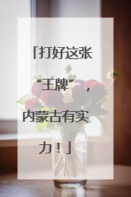 打好这张“王牌”，内蒙古有实力！