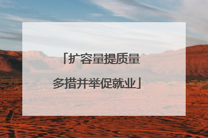扩容量提质量 多措并举促就业