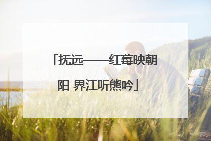 抚远——红莓映朝阳 界江听熊吟
