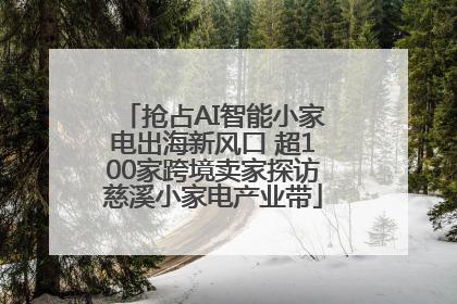 抢占AI智能小家电出海新风口 超100家跨境卖家探访慈溪小家电产业带