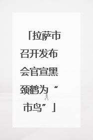拉萨市召开发布会官宣黑颈鹤为“市鸟”