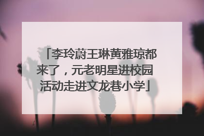 李玲蔚王琳黄雅琼都来了，元老明星进校园活动走进文龙巷小学